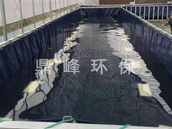 支架养殖水池
