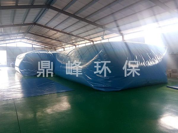 油囊